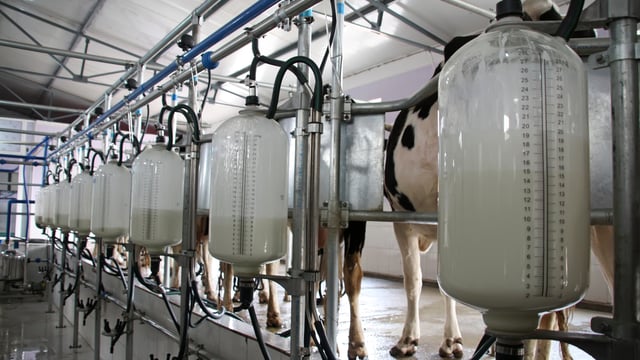 ‘€7 million of superlevy savings possible if supplies ‘managed’ for last three days’