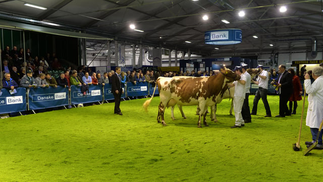 Former World Expo Dairyman of the Year to judge this year’s Winter Fair