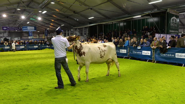 Dairy fairs are a winter wonderland for milk producers