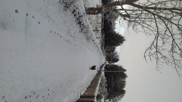 Laois farmers could be paid to salt roads this Christmas