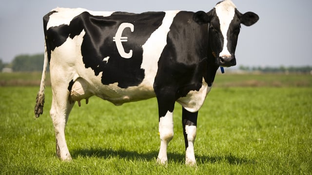 ‘Ireland must build a resilient dairy farm system’