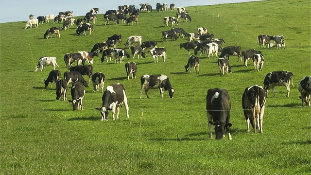 90% of herd fertility is good management