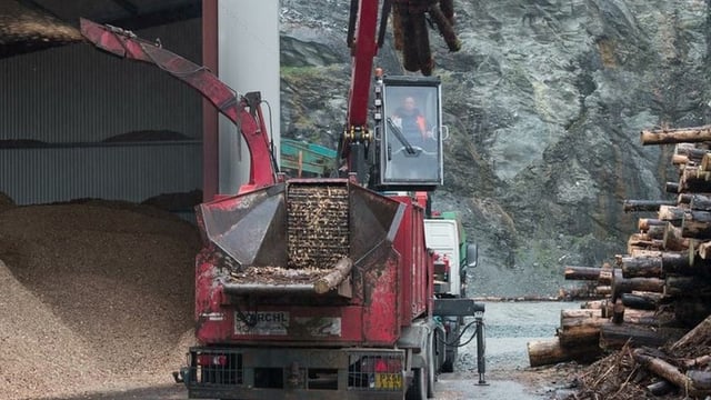 Have your say on EU bioenergy policy