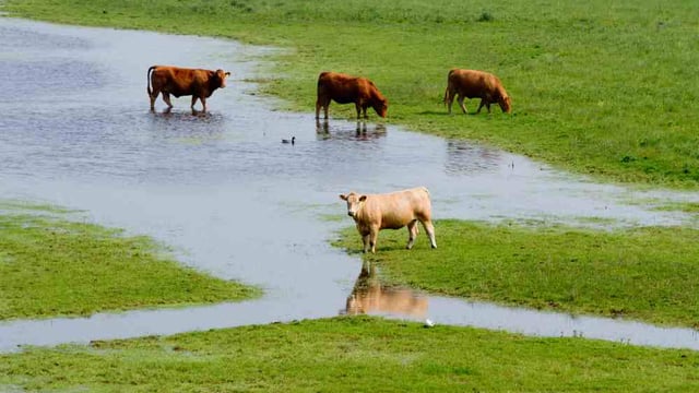 England now drought-free but increased risk of flooding in areas – EA