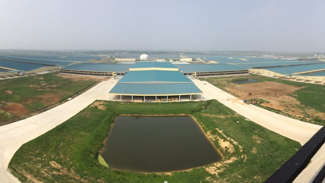 Video: Inside the biggest dairy farm in China – home to 40,000 cows