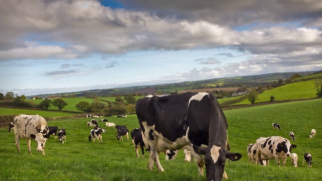 Farming for profit? Profit for loss?