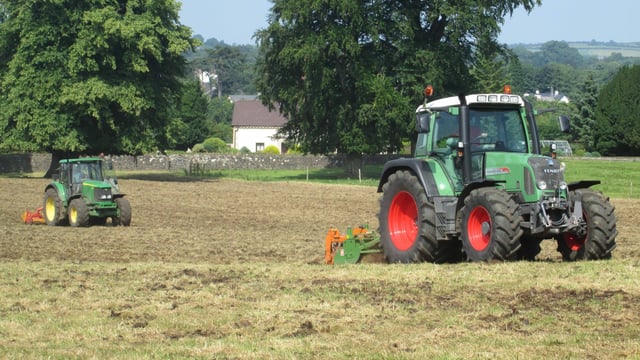 Solutions to leatherjacket and frit–fly in new grass reseeds