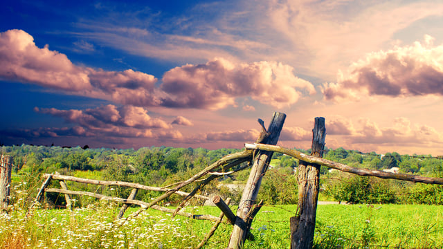 Calls for a move away from intensive farming model