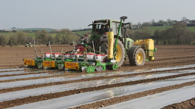 Feed price volatility is here to stay says industry expert