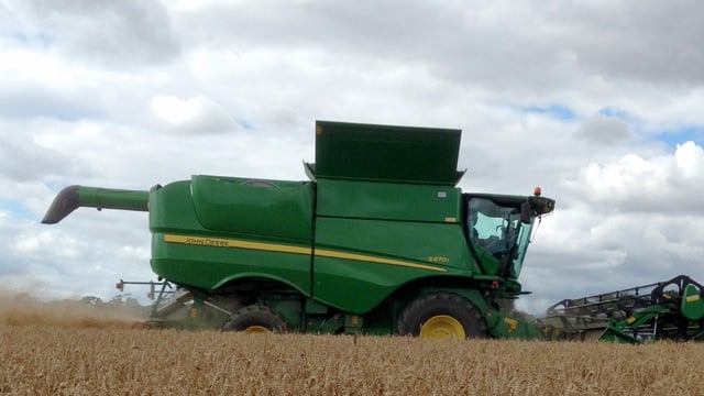 ‘International cereal prices hinge on the smallest of margins’