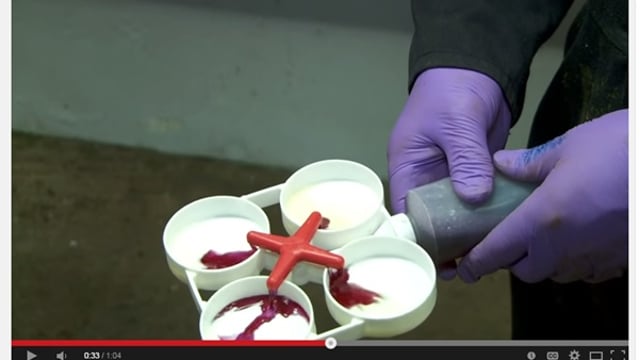 How to use the California Mastitis Test properly