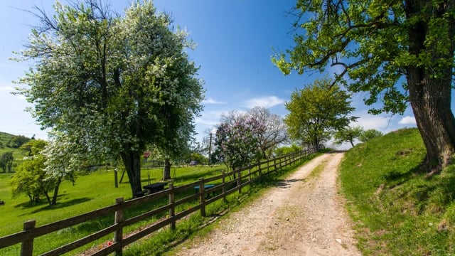 Rural people less confident in the economy