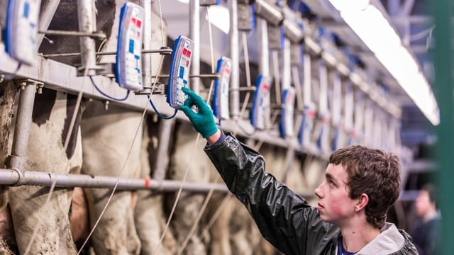 No point crying over spilt milk – quotas are gone and opportunity knocks