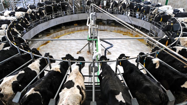 Calls for superlevy to be reinvested in dairy sector