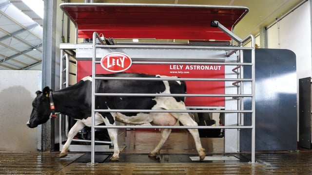 Lely milking robots to join the machinery lineup in Farming Simulator