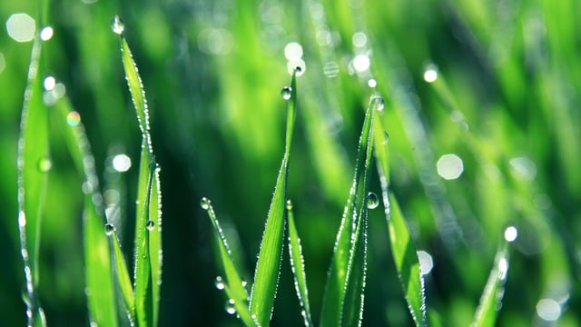 Mild weather helps grass growth rates (no surplus’ yet though)
