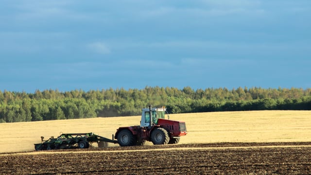Strengthening futures’ market could encourage last season’s wheat to be stored