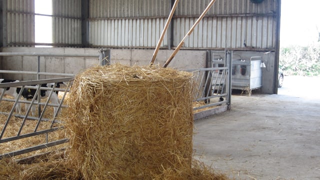Straw market hardens as prices average €18-20/bale nationwide