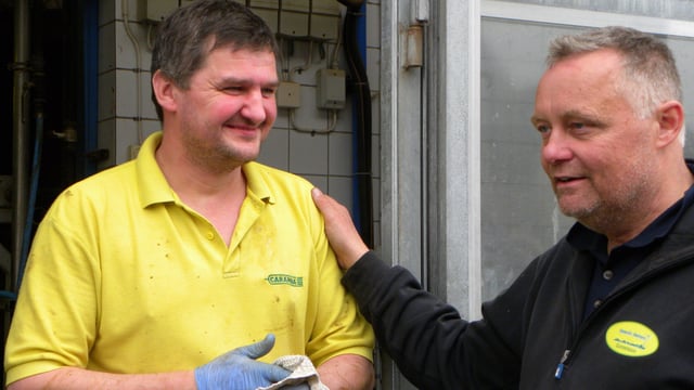 Meet the part-time farmer with over 700 dairy cows