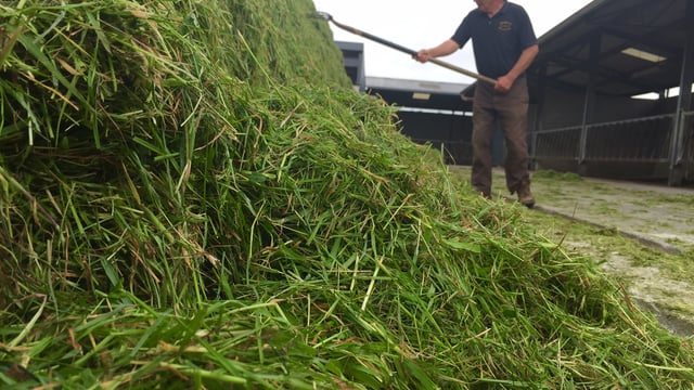 ‘Good quality silage is not all about dry matter content’
