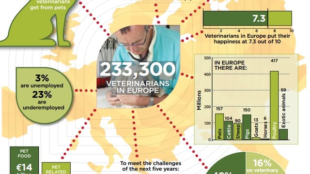 Responsible use of medicines part of EU vets’ five-year plan