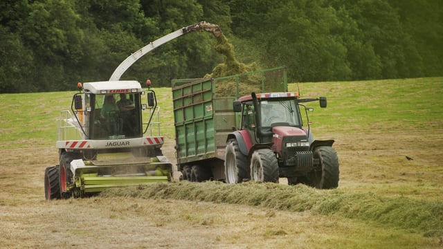 Cutting silage? Here’s how to make the neighbours jealous with your quality silage