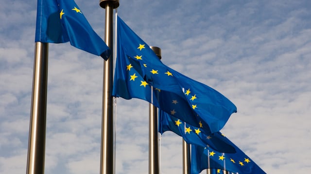 Two GM crops get the green light to be imported into Europe