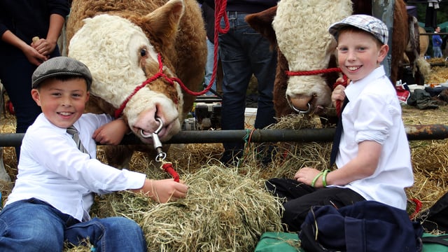 Why 15,000 people are set to attend Virginia Show this year