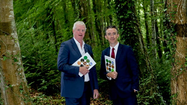 Coillte announces 46% growth in operating profit to €60.5m