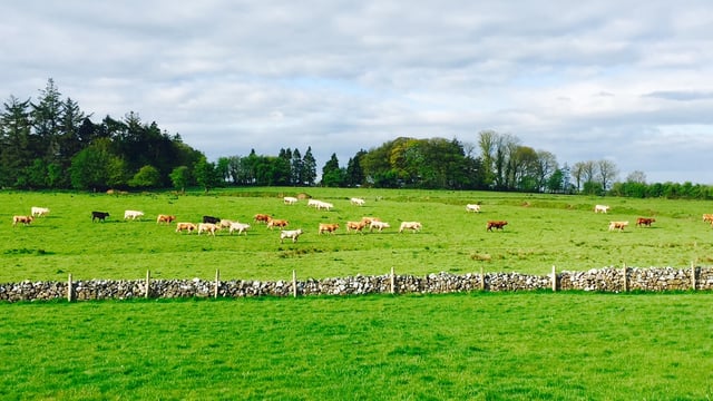 Performance recording is a core requirement for all farm businesses