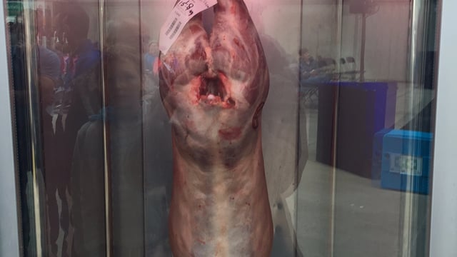 ‘Lamb must be included in beef trade missions’