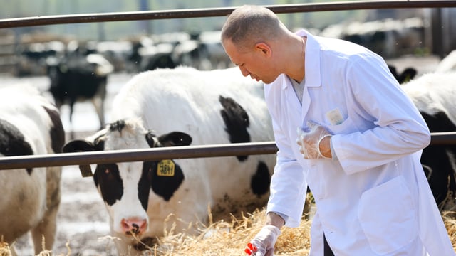 ‘New Zealand will not need animal antibiotics by 2030’