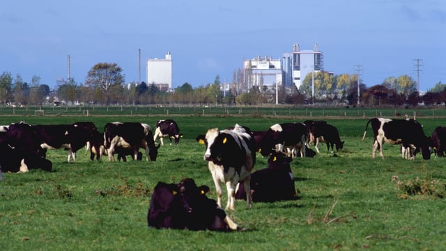 Kiwi dairy farmers’ debt has trebled in 10 years