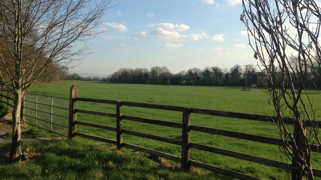 ‘Strong demand’ for long-term land leasing arrangements
