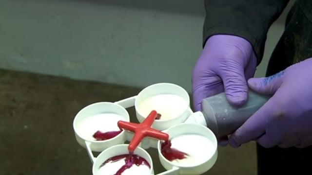 Dairy tip of the month: Detecting mastitis with the California Mastitis Test (CMT)