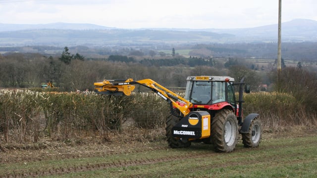 Flexibility to be allowed on hedgecutting dates on pilot basis