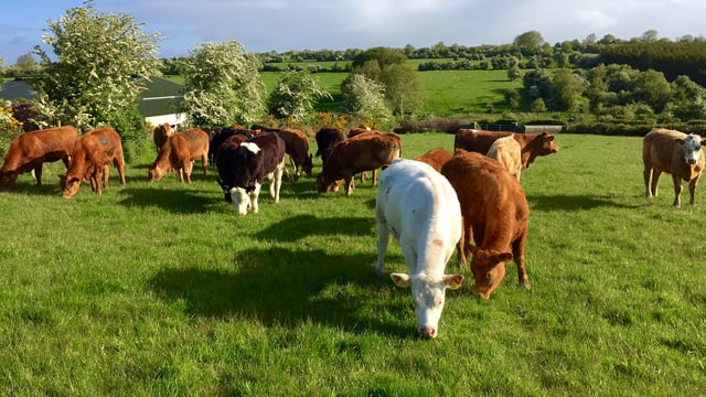 Future farm income crises must be prevented – EU Farmers