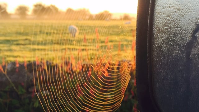 Here’s how to make your farm safer over the winter months