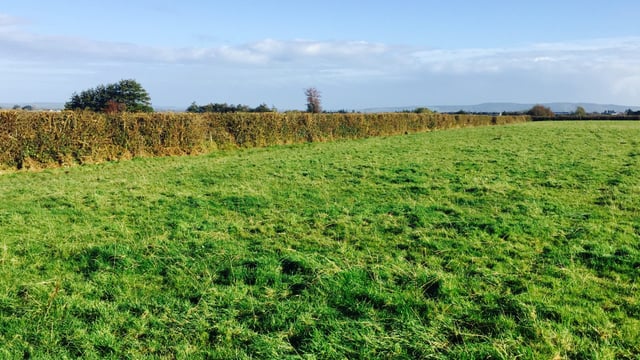 21 landowners apply to cut hedges in Clare under paid hedgecutting scheme