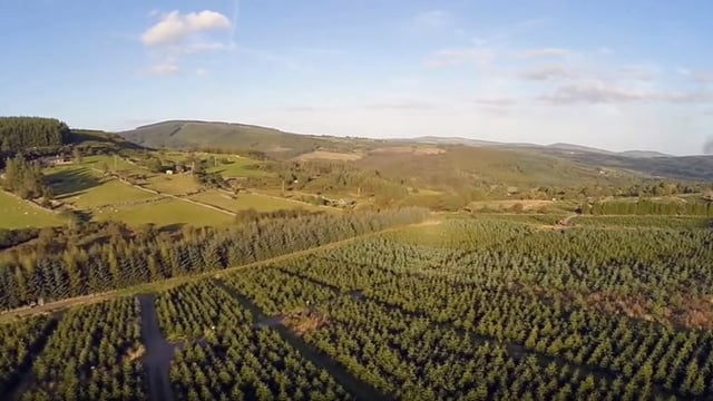 Video: Great footage of the view over a Christmas tree farm