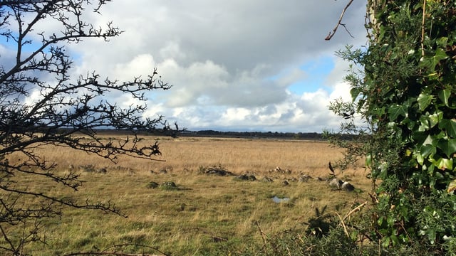 Scottish Land Commission appoints new chair and 2 land commissioners
