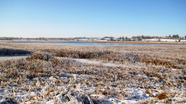 US winter storm Goliath to have ‘lingering affect’ on milk supply