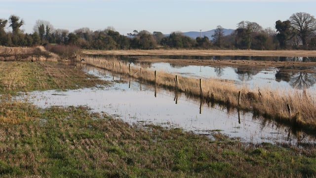 ‘Flood risk group not meeting in 4 years a total insult to people affected’