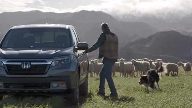 Video: Sheep take to the field for Honda’s Superbowl 50 ad
