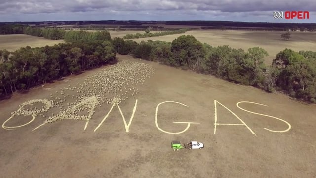 Video: Aussie farmer uses 2,000 sheep to protest against gas mining