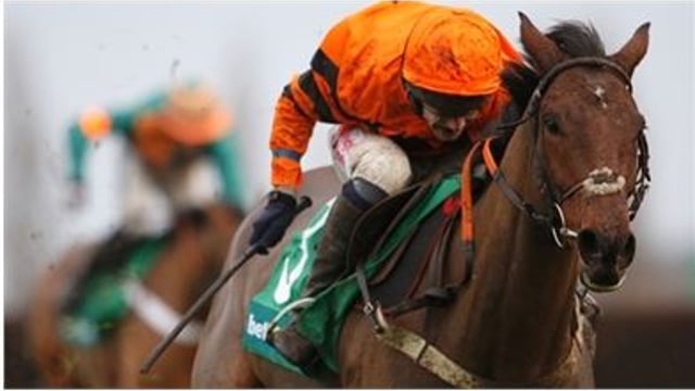 Here’s five horses with farming connections to keep an eye on at Cheltenham