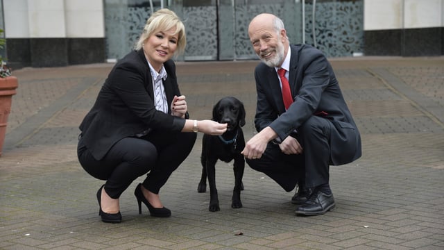Tougher sentencing for those found guilty of animal cruelty in the North