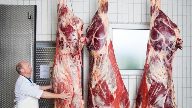 Volatility the key theme across beef markets – Rabobank