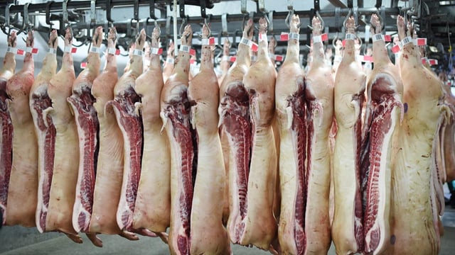 Europe-wide CO2 shortage forces Scottish abattoir to close