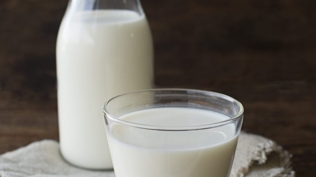 Consumption of cows’ milk on a ‘downward trend’